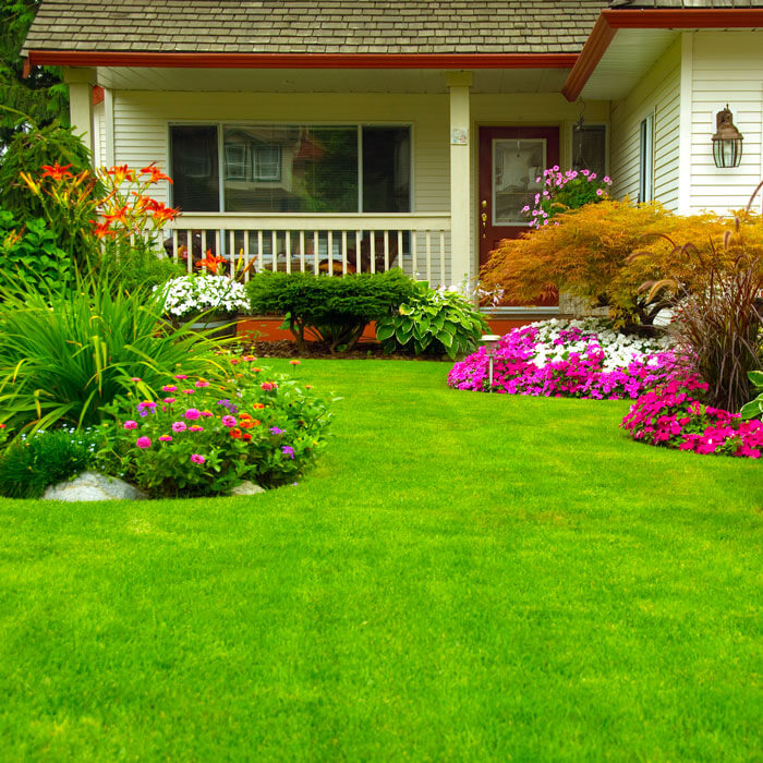 well maintained front lawn of home