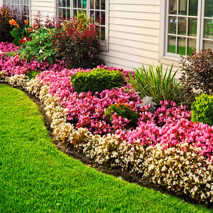 garden landscape against house