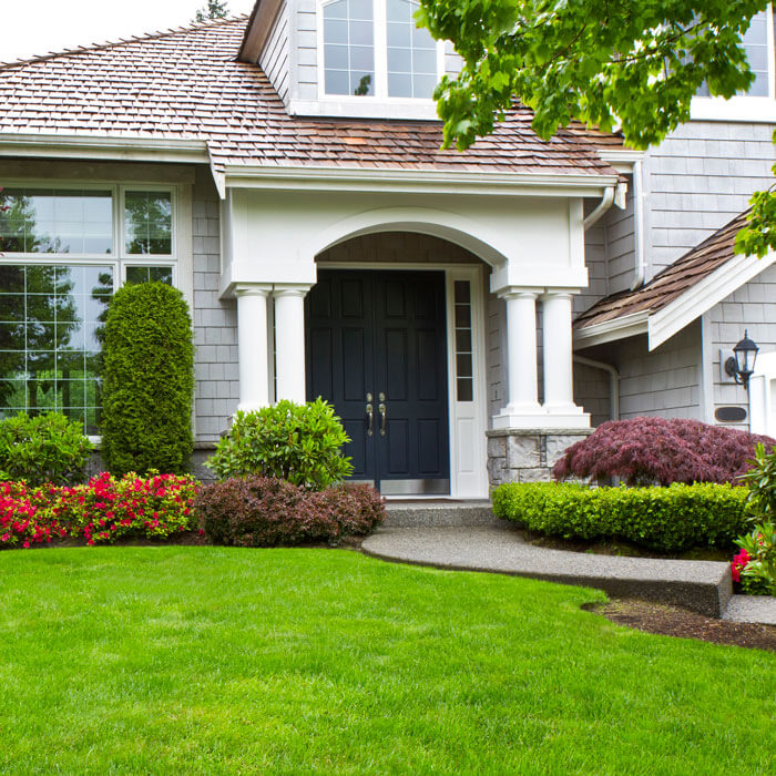 well maintained front lawn of home