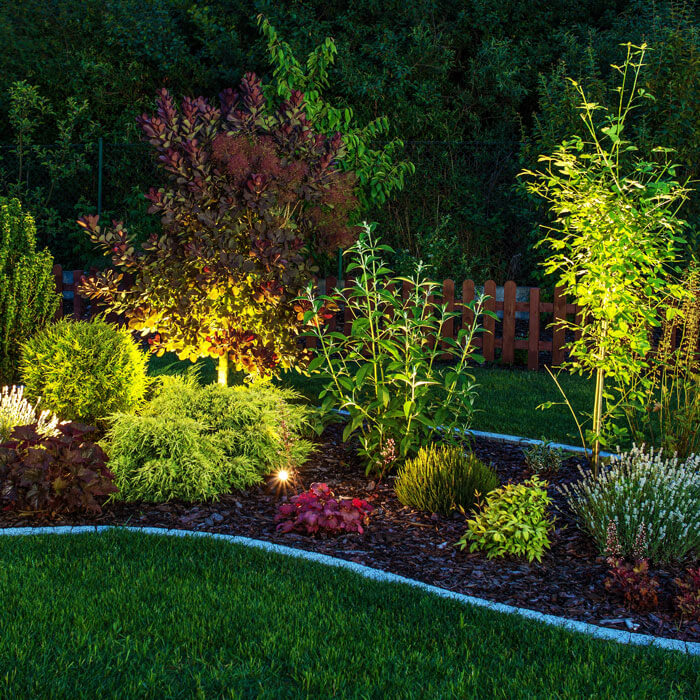 backyard landscape with low voltage lighting