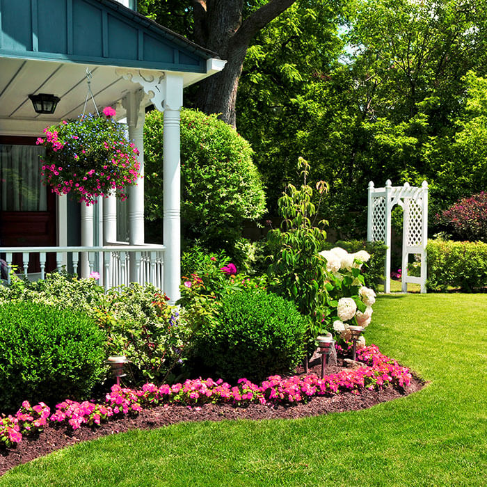 garden landscape against house